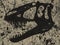 Retro black sketch of section of skull of tyrannosaur in rock