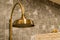 Retro brass shower head with motion of water.