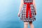 Retro checked dress with red bow