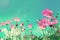 Retro cosmos flower fields background