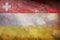 retro flag of German peoples Alemannic speaking Germans with grunge texture. flag representing ethnic group or culture, regional