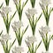 Retro flower seamless pattern - daffodils. Spring flowers narcissus.