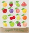 Retro Fruit Icon Set 16 with wooden crate and retro