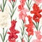 Retro Gladiolus Seamless Pattern With Multiple Colors On Solid White Background