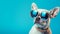Retro Glamor: French Bulldog In Sunglasses On Blue Background