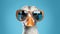 Retro Glamor: Innovative Duck Wearing Sunglasses On Blue Background