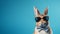 Retro Glamor Rabbit Bold Saturation Innovator With Sunglasses