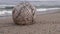 Retro globe on the sand by the sea