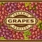 Retro Grapes Harvest Label
