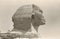Retro Great Sphinx Head