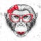 Retro Hipster animal monkey. Hand drawing Muzzle of animal chimpanzee. Girl of 60s