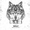 Retro Hipster animal wolf. Hand drawing Muzzle of wolf