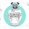Retro Hipster fashion animal pug-dog dressed up in pullover.