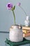 Retro home decor: a stack of books, flower in a vase