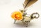 Retro inkwell feather writing pen and an orange rose