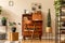 Retro interior design of living room with wooden vintage bureau, shelf, cube, plants, cacti, books, decoration.