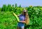 retro kid hold healthy vegetable marrow. child grow zucchini in garden, farming. teen girl on squash farm. summer