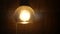 Retro Light Bulb Lighting Series. Ball Shape.