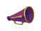 Retro megaphone with word director on side. Vintage hand loud speaker. Voice audio information, film industry symbol.