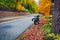 Retro motorcycle on the empty road. Vivid autumn landscape.