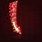 Retro neon sign for cafe. Glowing cafe sign