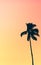 Retro Pastel Colored Single Palm Tree