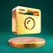 Retro Photo Camera icon. Fortuna Gold Retro Photo Camera symbol on golden podium
