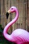 Retro pink flamingo