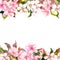 Retro pink flowers - apple, cherry blossom. Floral frame for greeting card. Aquarelle