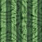 Retro Psychedelic Hypnotic Trippy Acid Swirls Seamless Texture Pattern Minty Green Stripes