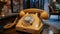 Retro Rotary Phone in Urban Chic Decor