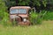 Retro rusty antique work truck left to fall apart in meadow hedgerow