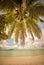 Retro style image of tropical island beach