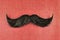 Retro styled image of a black curly moustache