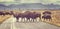 Retro toned Herd of American bison crossing road at sunrise.
