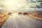 Retro toned herd of American bison crossing road at sunrise.