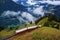 Retro train from Interlaken, Wilderswil to Schynige Platte and stunning view of alpine forest