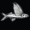 Retro vector illustration vintage drawing of an oceanic flying fish