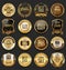 Retro vintage golden badges collection