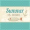 Retro vintage summer poster with sea, anchor and f