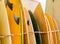 Retro vintage surfboards lined up in a local surf shop