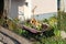 Retro vintage wheelbarrow construction cart filled with soil and various flowers mixed with carved dry squash and used as garden