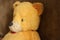 retro vintage yellow teddy bear