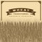 Retro wheat harvest card brown