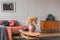 Retro wooden cabinet with black vases in the corner of classy grey living room interior with ginger sofa