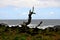 Reunion island seascape, landscape. Black sand, volcanic rocks.