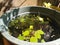 Reuse of a plastic bucket as a mini pond with water lilies and other plants.
