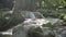 Reveal lifting shot fresh water rapids flowing into the natural pond under sunshine in the jungle.