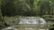 Reveal lifting shot fresh water rapids flows into the natural pond under sunshine in the jungle.