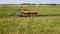 Revealing pitching up aerial video of row of cows closely paying attention to the camera in grassy meadowland